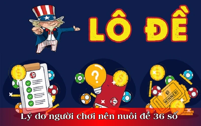 Lý do người chơi nên nuôi đề 36 số 