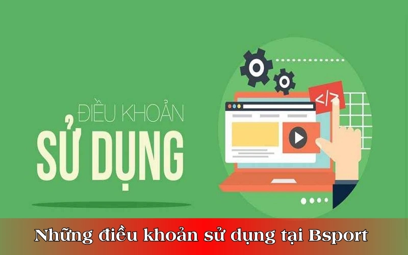 Những điều khoản sử dụng tại Bsport 