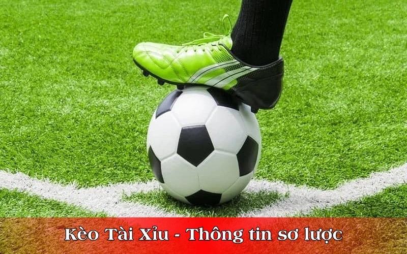 Kèo Tài Xỉu - Thông tin sơ lược