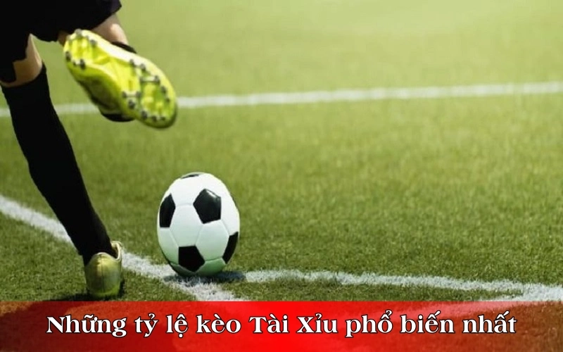 Những tỷ lệ kèo Tài Xỉu phổ biến nhất