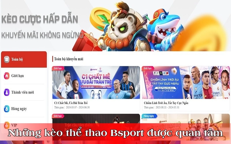 Những hình loại kèo thể thao Bsport được quan tâm