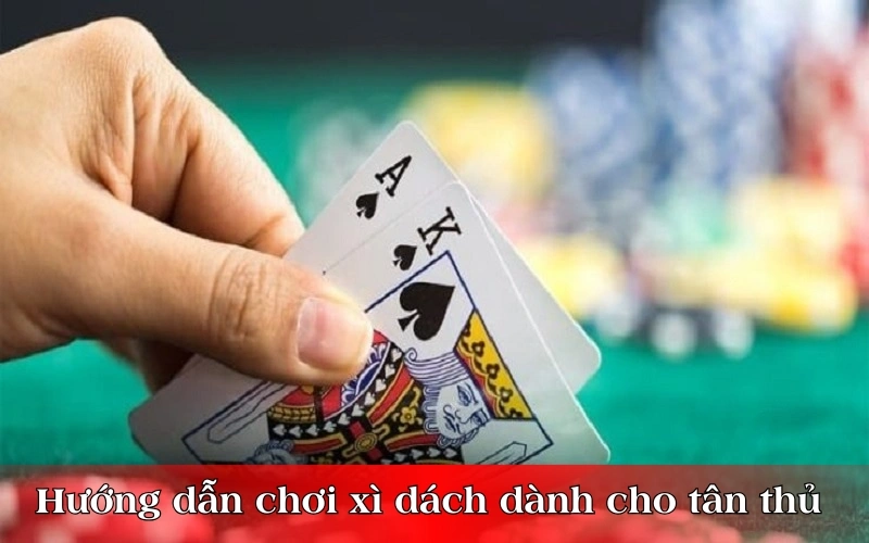 Hướng dẫn anh em chơi xì dách cho dành cho tân thủ 