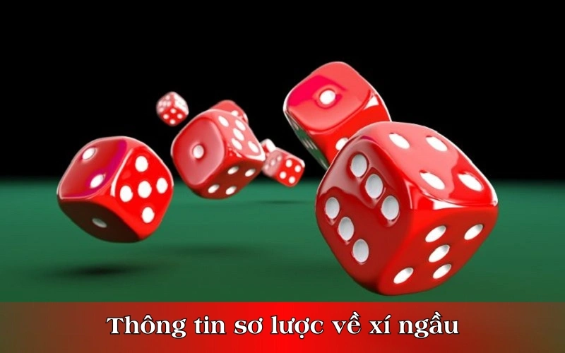 Thông tin sơ lược về xí ngầu